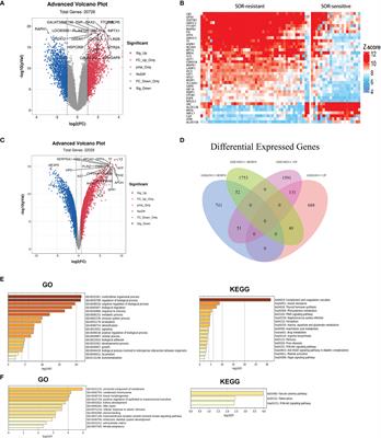 Knockdown of AKR1C3 Promoted Sorafenib Sensitivity Through Inhibiting the Phosphorylation of AKT in Hepatocellular Carcinoma